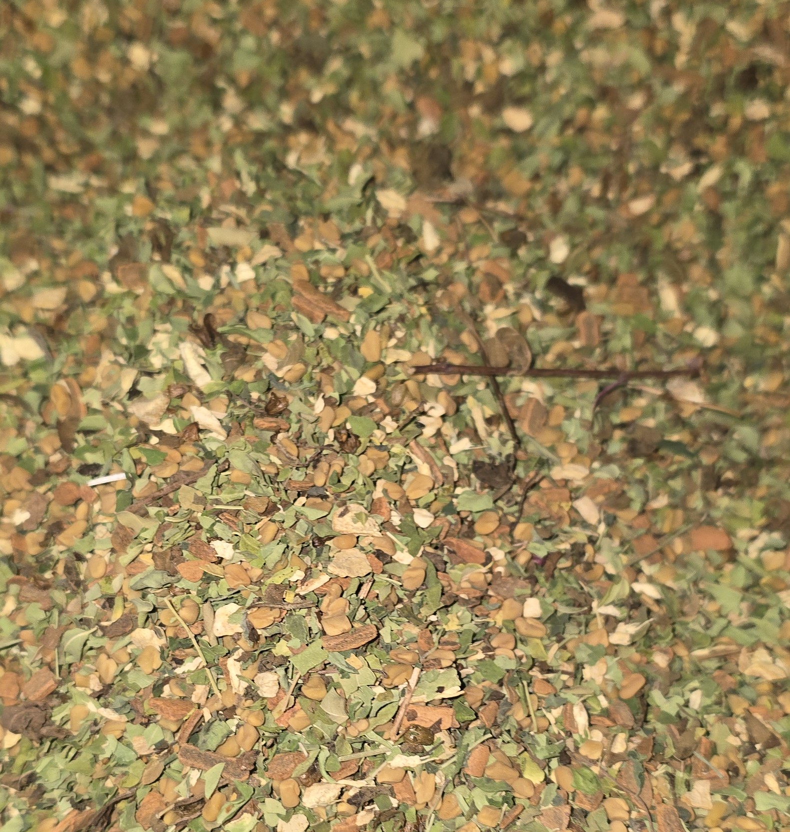 The Down Low Tea - Image 6