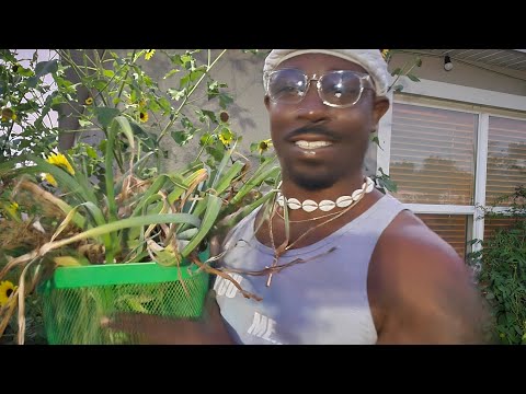 A Gar-Deen Tour of our Urban Suburban Homestead in 9B Florida, Our First Fruits of the Season